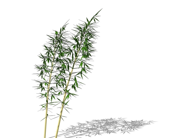 SU植物模型竹子