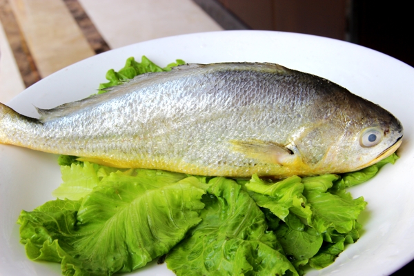 海鮮大黃魚圖片