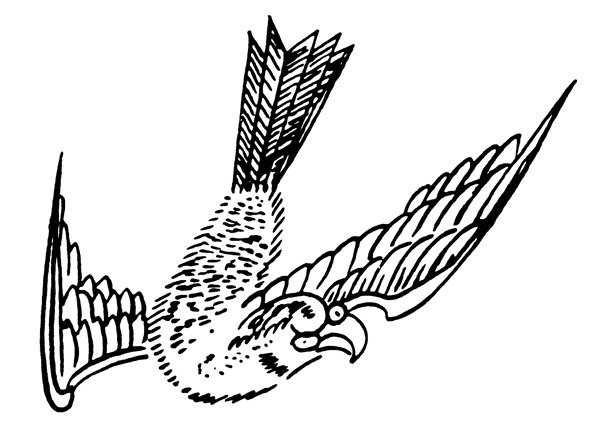 清代花鳥圖案中國傳統(tǒng)圖案0044
