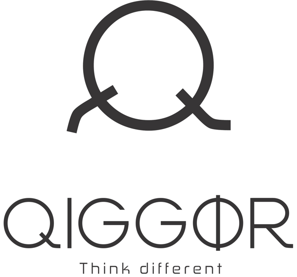 矢量字母logo标志Q元素