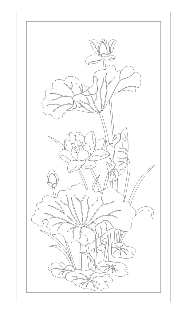 荷花圖片