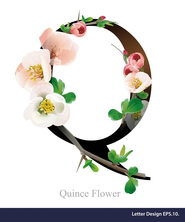 英文字母花卉字体设计