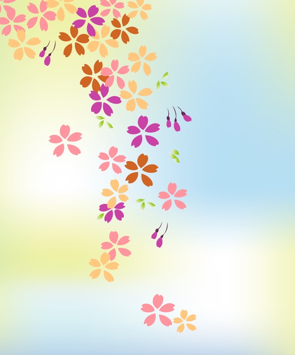 小花圖片
