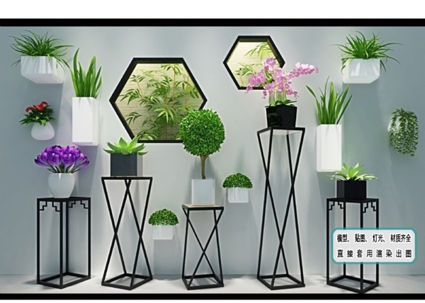 植物墙现代植物装饰架组合