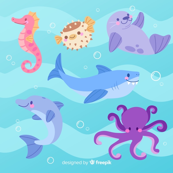 可爱海洋动物图片
