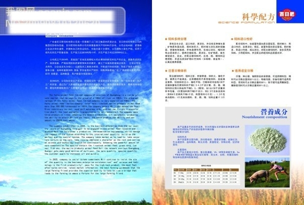 畫(huà)冊(cè)設(shè)計(jì)