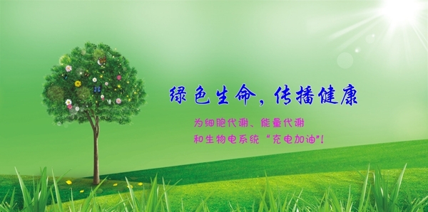 生物電理療