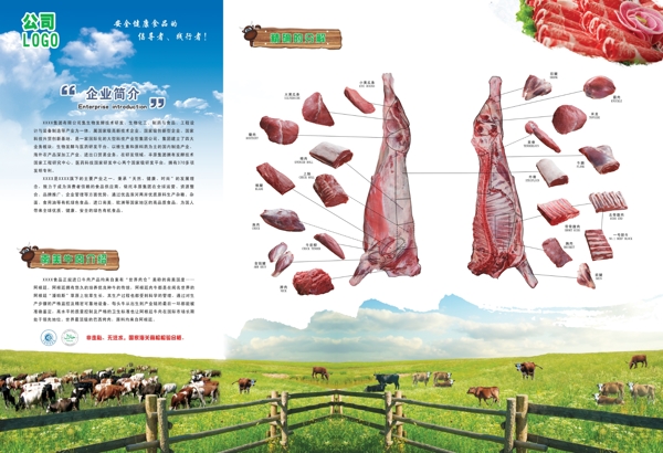 牛肉三折页图片
