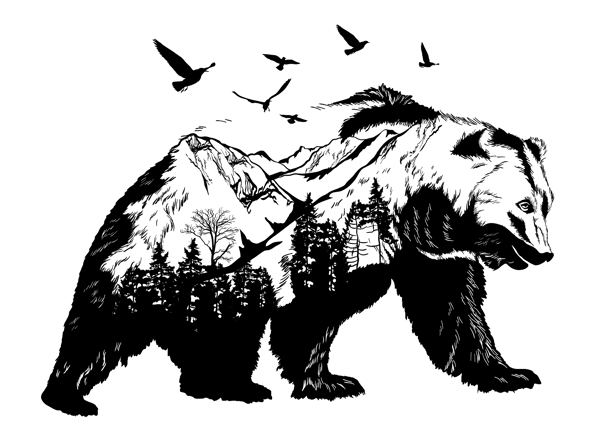 黑白熊头图案图片