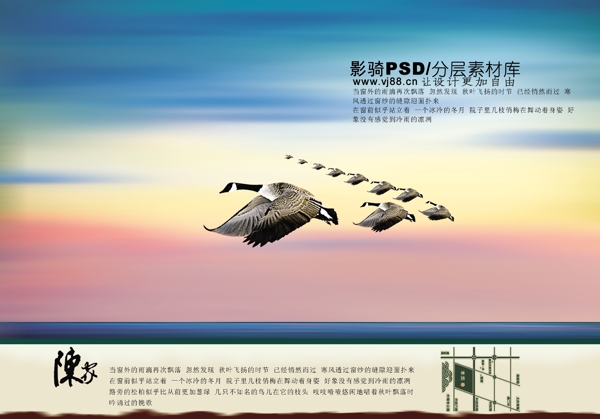 psd源文件大雁五彩天空
