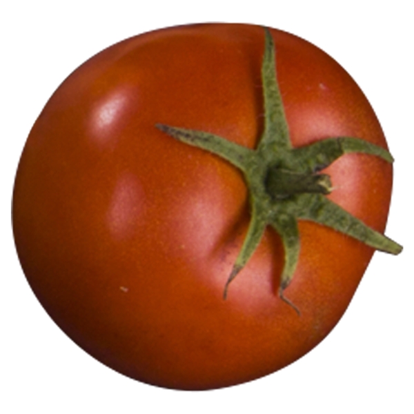 西红柿实物拍摄png