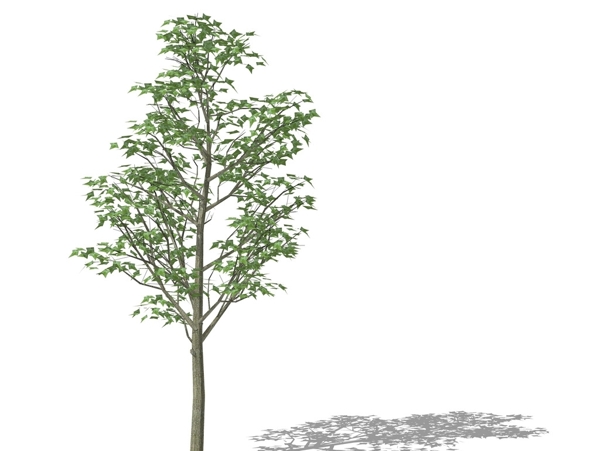 SU植物模型