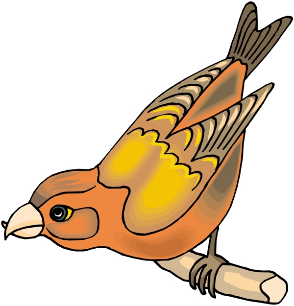各種鳥類鳥動物矢量素材EPS格式0583