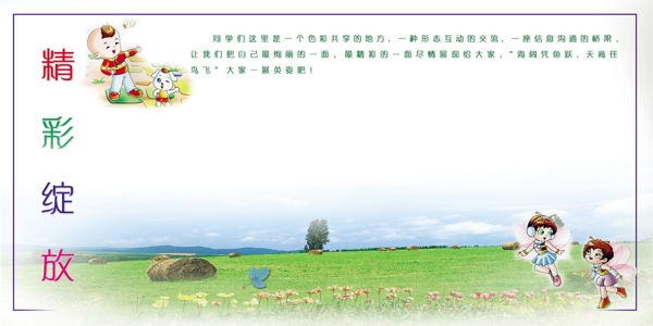 精彩綻放