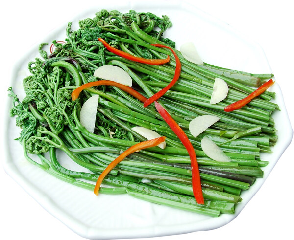 蕨菜圖片