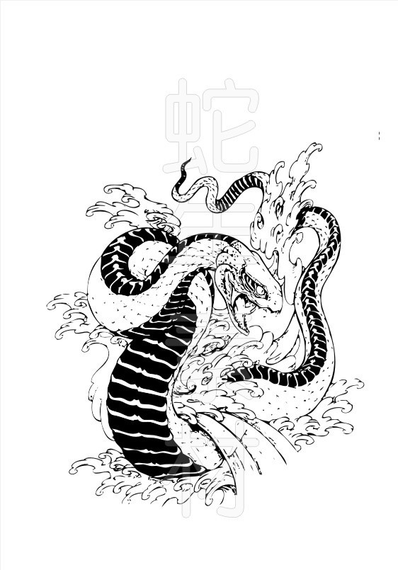 動(dòng)物蛇圖片
