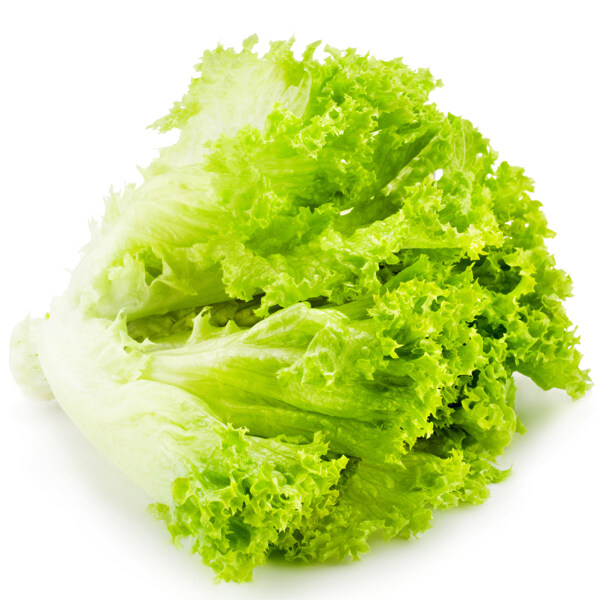 生菜圖片