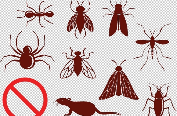 灭虫杀蚊图片