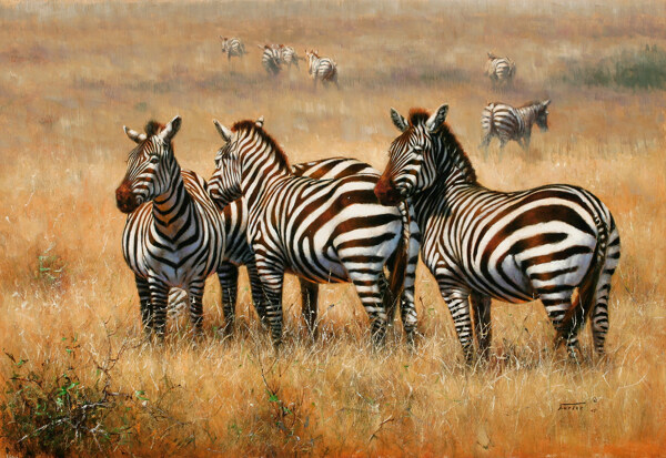油画非洲斑马图片