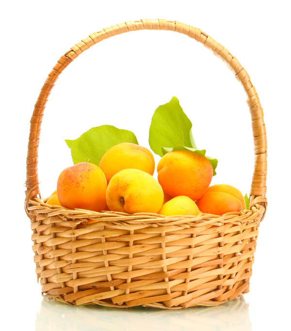 新鲜杏子