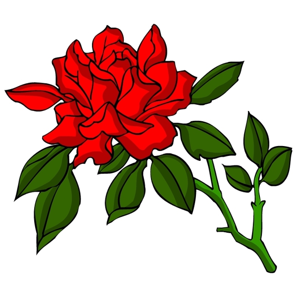 花卉古典插畫