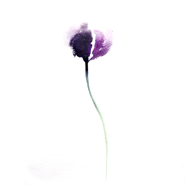 位圖植物寫意花卉花朵郁金香免費(fèi)素材