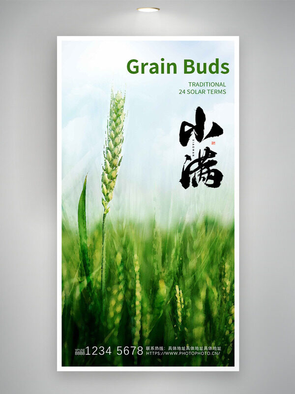 綠色麥田背景傳統(tǒng)二十四節(jié)氣小滿海報