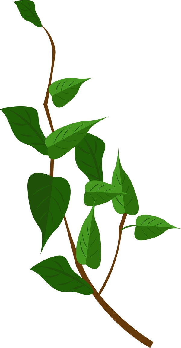 绿叶植物藤蔓插画