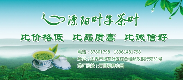 茶葉圖片