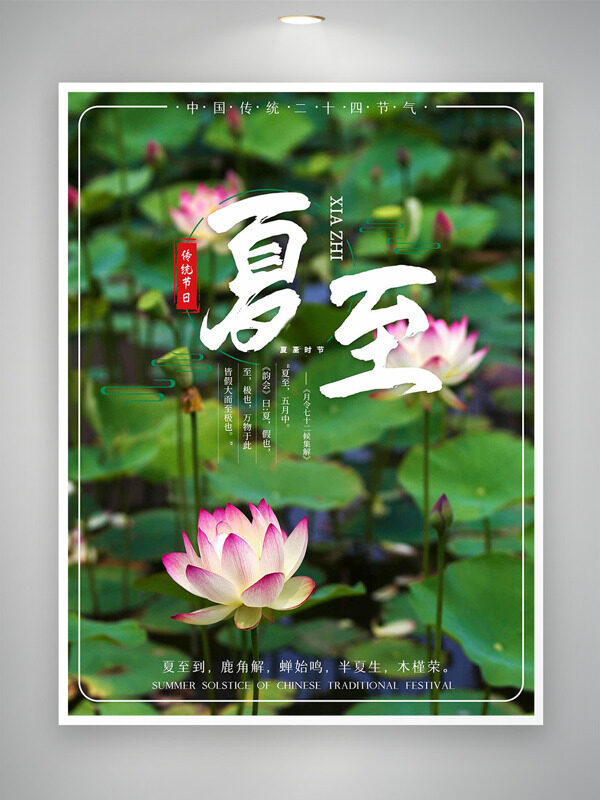 池塘荷花盛開背景傳統(tǒng)節(jié)氣之夏至海報(bào)