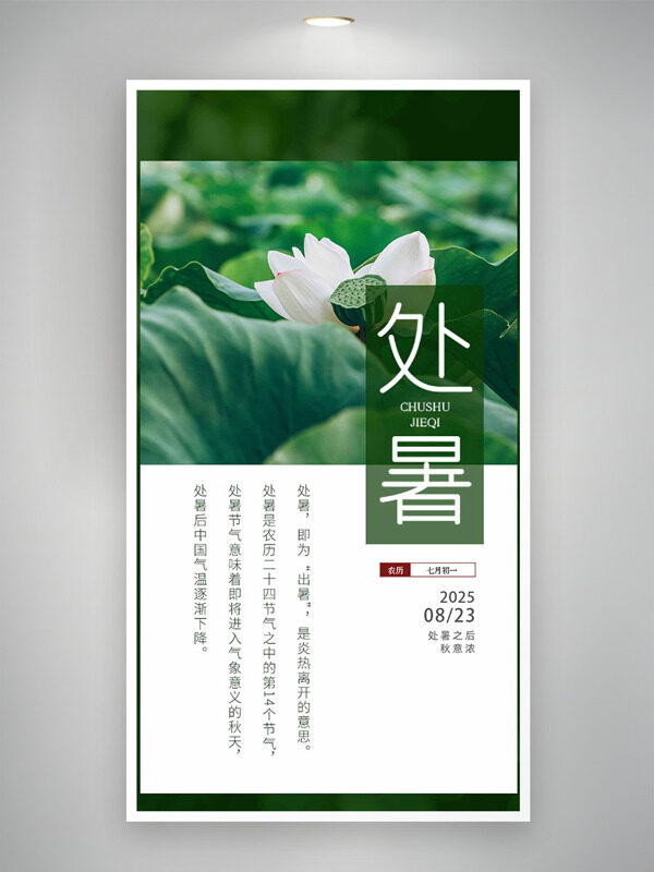 處暑傳統(tǒng)節(jié)氣綠色荷塘背景海報(bào)