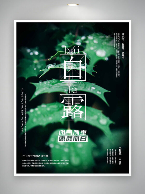 陰氣漸重露凝而白白露時(shí)節(jié)海報(bào)