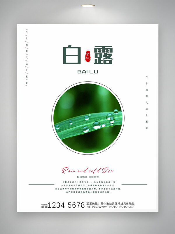 極簡(jiǎn)風(fēng)格綠葉水珠插畫白露節(jié)氣海報(bào)