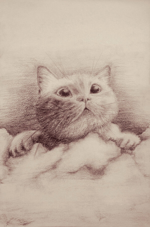 位圖插畫(huà)時(shí)尚插畫(huà)動(dòng)物插畫(huà)動(dòng)物免費(fèi)素材