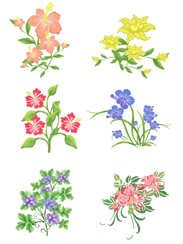 手绘植物花卉元素6