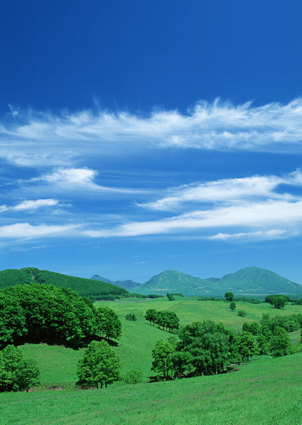草地圖片