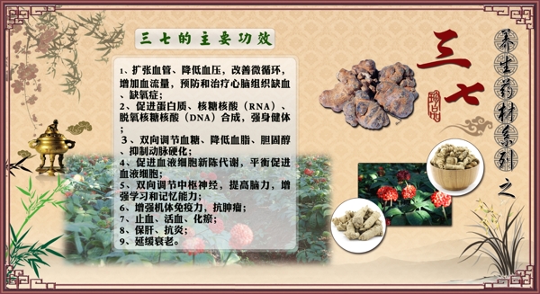 中藥圖片