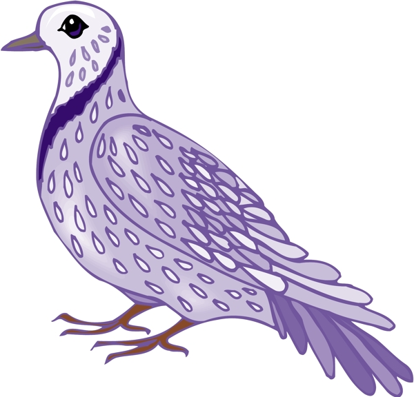 各種鳥類鳥動物矢量素材EPS格式0625