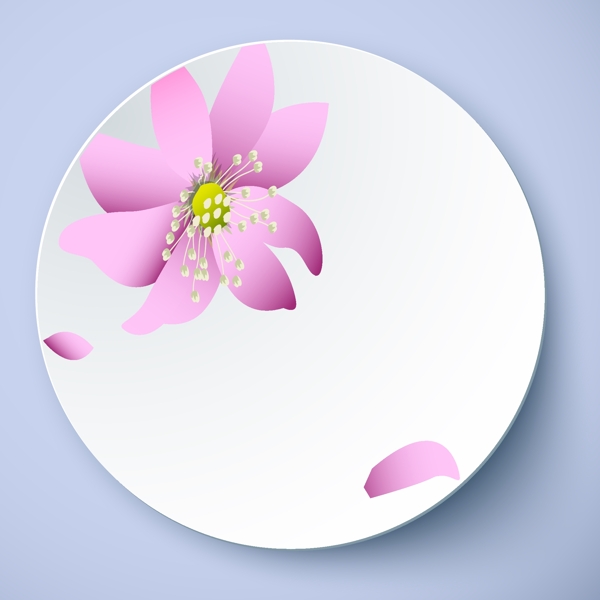 粉色花卉花瓣盘子花纹