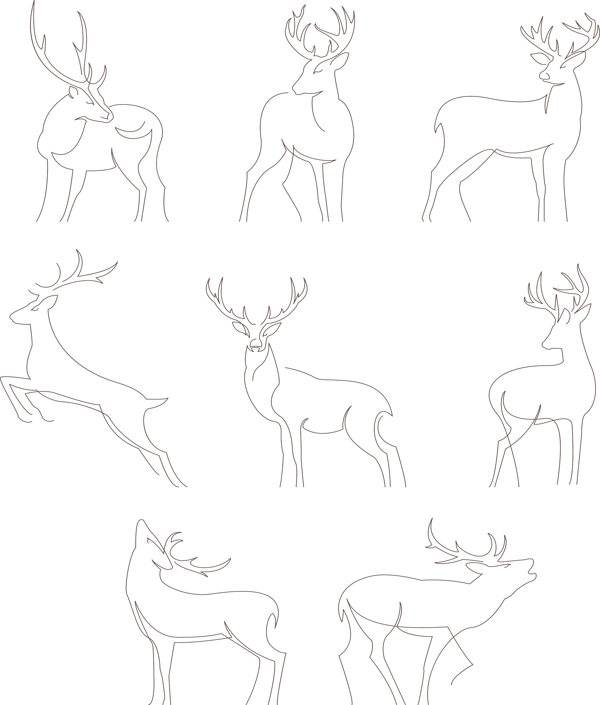 鹿的姿态图片