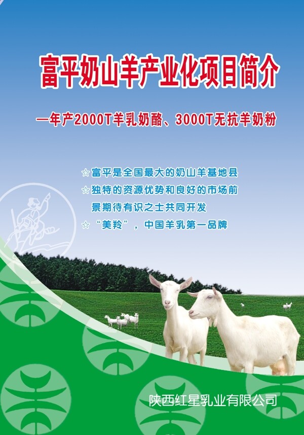 標(biāo)書封面圖片
