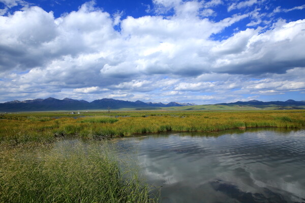 四川若爾蓋花湖風(fēng)景