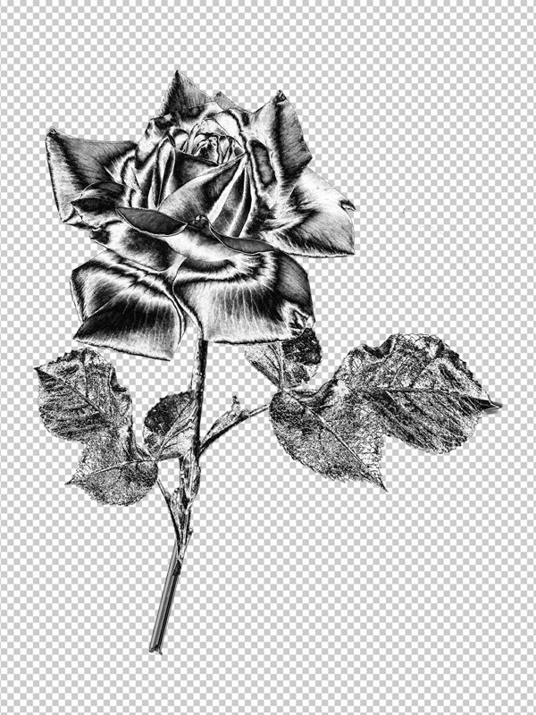 金属玫瑰花
