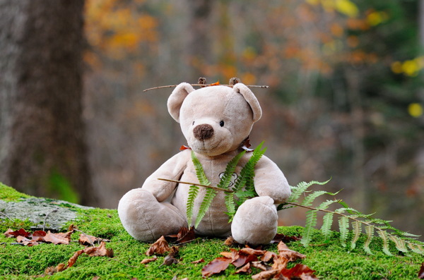 可爱泰迪熊玩具图片