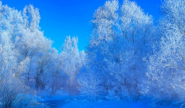 黑龙江库尔滨河冬季风景