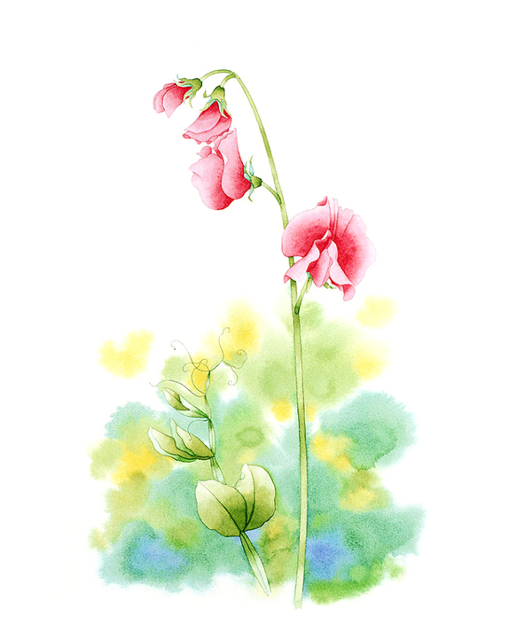 位圖寫(xiě)意花卉藝術(shù)效果水彩花卉免費(fèi)素材