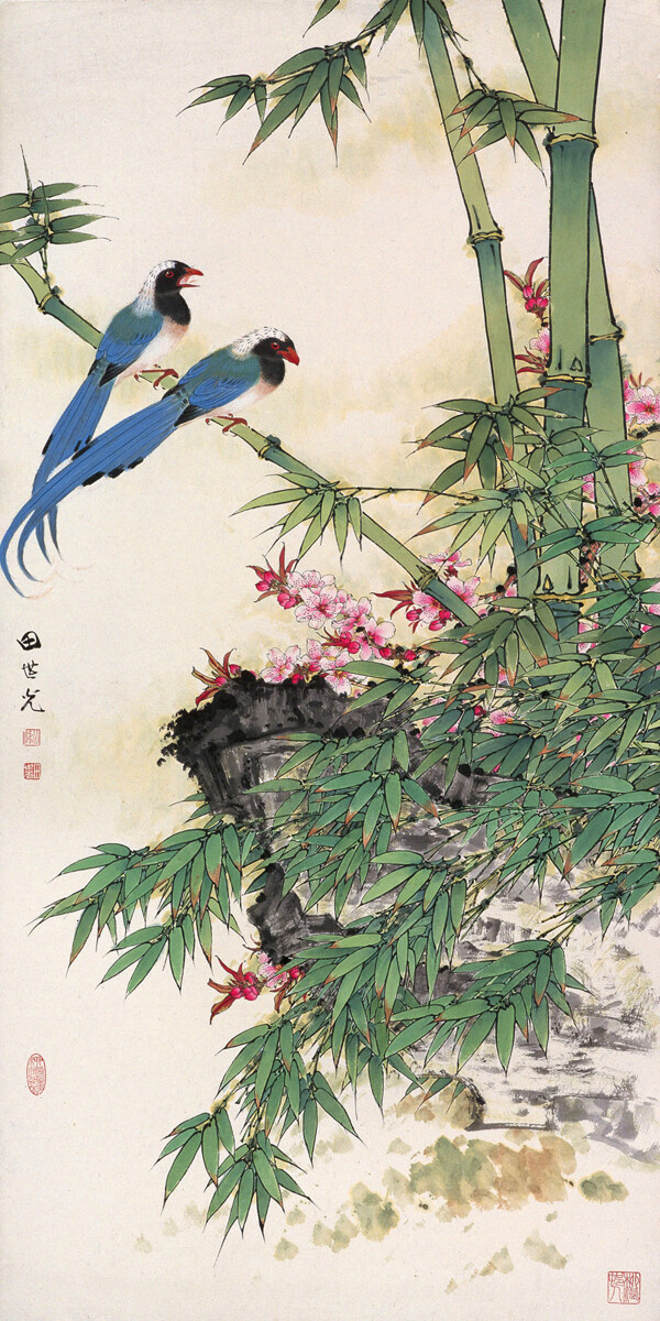 竹桃綬帶圖片