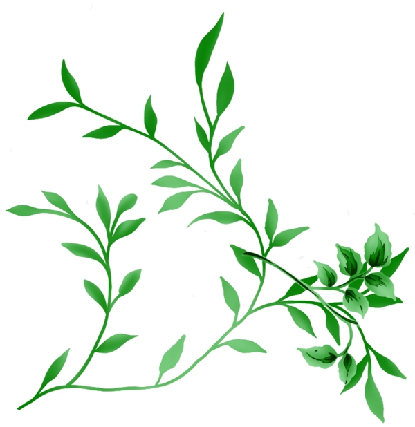 時尚花卉與葉子psd分層素材
