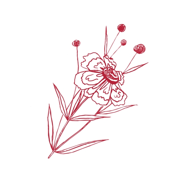 红色线条手绘花朵设计元素