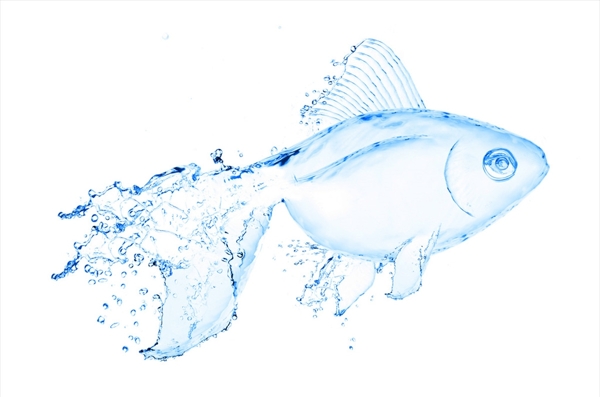 水花魚效果